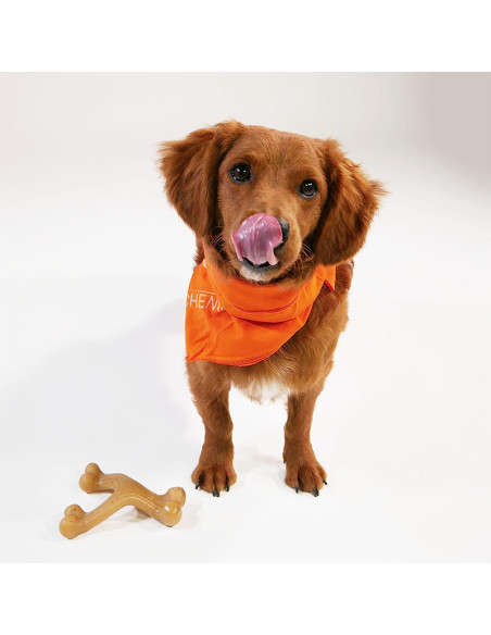 JUGUETE STRONG CHEW GOURMET STYLE WISHBONE SABOR POLLO TALLA M