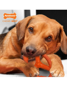 NYLABONE STRONG CHEW JUGUETE FLEXI CHEW ANILLO OVAL FLEXIBLE TALLA M 2