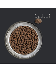 BELCANDO PUPPY GRAIN FREE POULTRY 4 KG 2