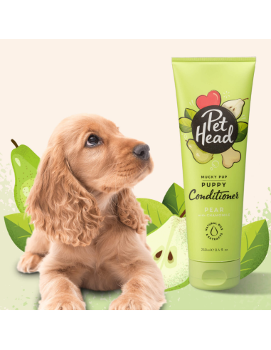 PET HEAD MUCKY PUP ACONDICIONADOR 250 ML
