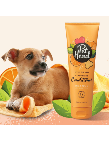 PET HEAD DITCH THE DIRT ACONDICIONADOR 250 ML