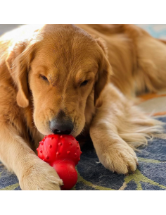 NYLABONE STRONG CHEW CONO 3 EN 1 RELLENABLE CONGELABLE SABOR TOCINO TALLA M 2