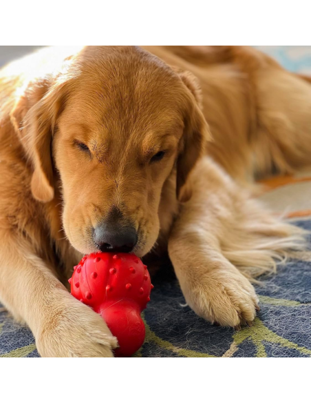 NYLABONE STRONG CHEW CONO 3 EN 1 RELLENABLE CONGELABLE SABOR TOCINO TALLA M