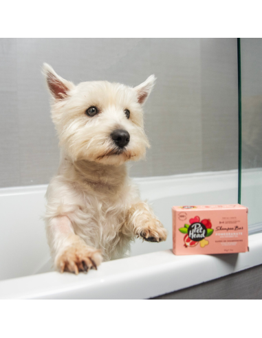 PET HEAD SHAMPOO EN BARRA GRANADA Y ACEITE DE COCO 85 G