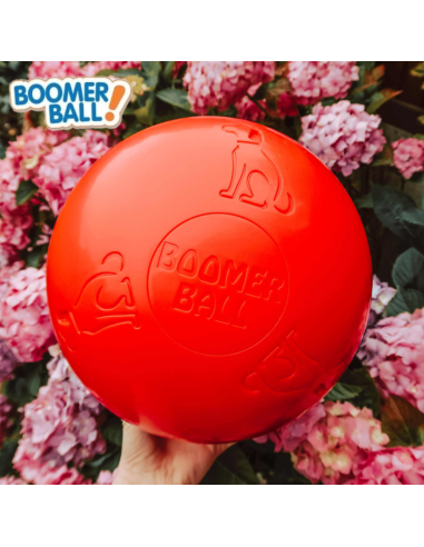 BOOMER BALL PELOTA 20 CM ROJA