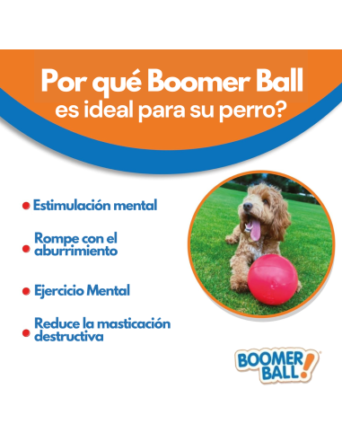 BOOMER BALL PELOTA 20 CM ROJA
