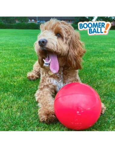 BOOMER BALL PELOTA 20 CM ROJA