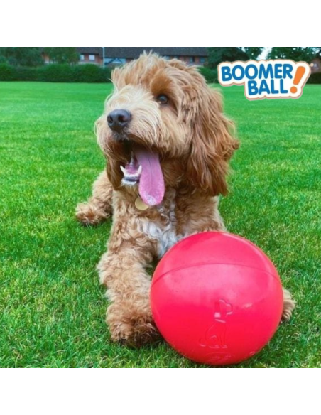 BOOMER BALL PELOTA 20 CM ROJA