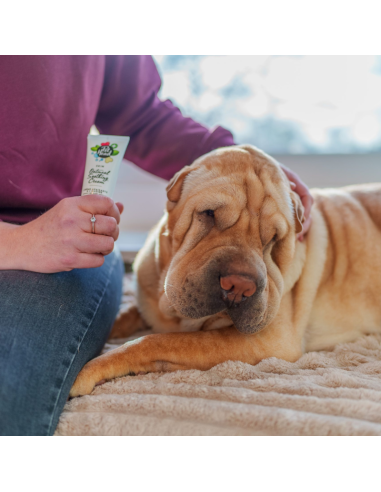 PET HEAD HEALTH CREMA DE AVENA 85 ML