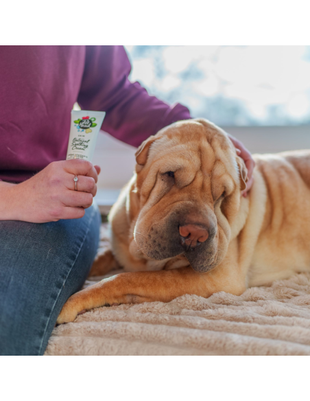 PET HEAD HEALTH CREMA DE AVENA 85 ML