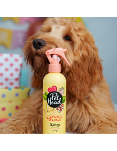PET HEAD SPRAY EDICIÓN BIRTHDAY 296 ML 2