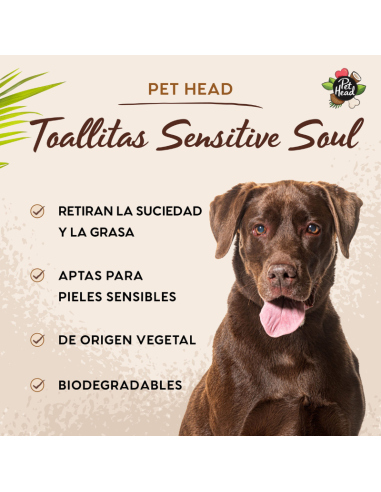 PET HEAD SENSITIVE SOUL TOALLITAS HÚMEDAS 100 UNID