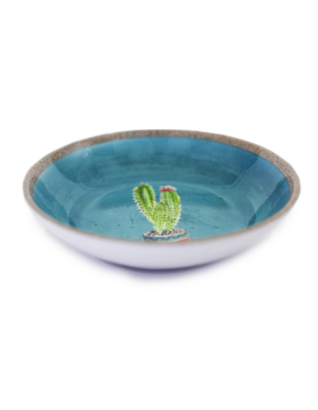 HEY! PLATO GATO DISEÑO CACTUS