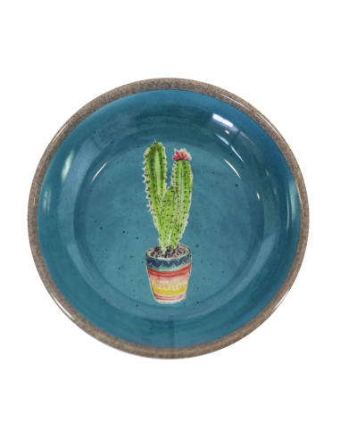 HEY! PLATO GATO DISEÑO CACTUS