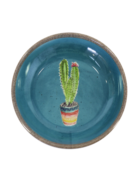 HEY! PLATO GATO DISEÑO CACTUS