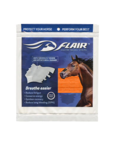 FLAIR STRIPS TIRA NASAL NARANJO 6 UNID