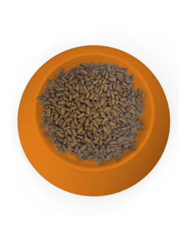 SPECIAL CARE GATO 10,1KG