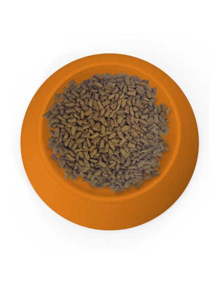 SPECIAL CARE GATO 10,1KG