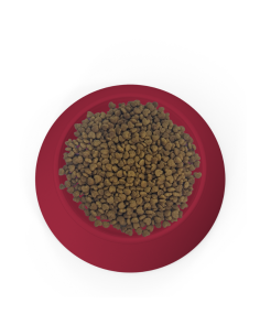 SPECIAL CARE GATO CASTRADO 10,1KG 2