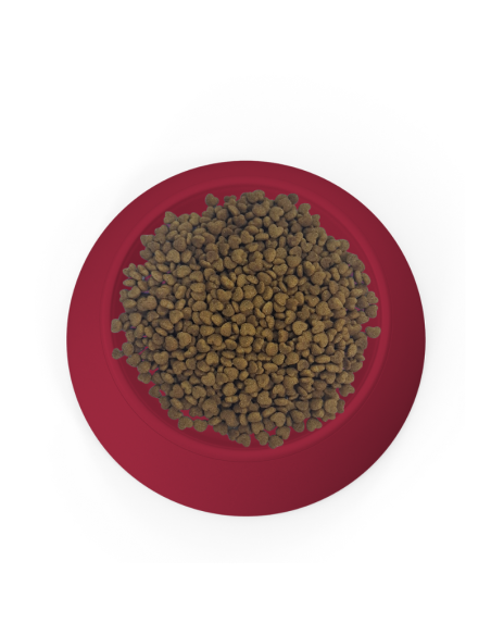 SPECIAL CARE GATO CASTRADO 10,1KG