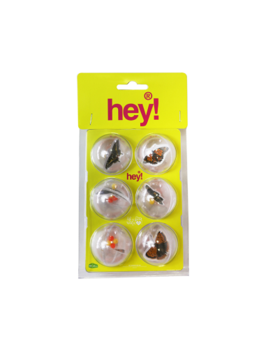 HEY! PELOTAS CON INSECTOS PACK 6 UNID