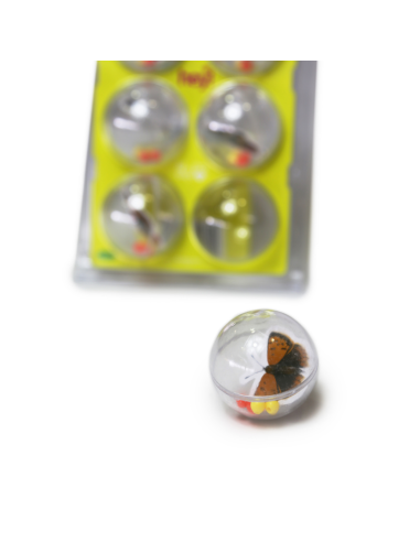HEY! PELOTAS CON INSECTOS PACK 6 UNID