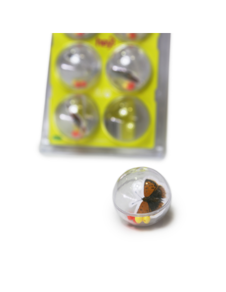 HEY! PELOTAS CON INSECTOS PACK 6 UNID