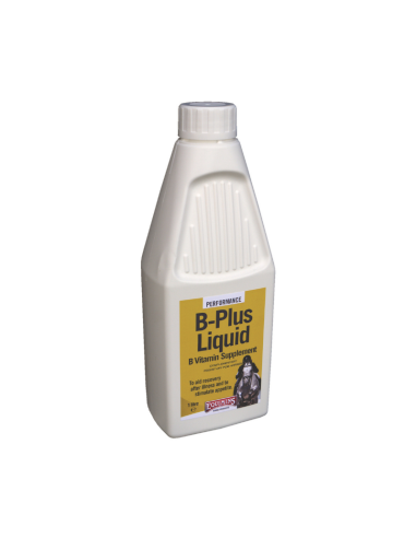 EQUIMINS SUPLEMENTO LÍQUIDO VITAMINA B B-PLUS 1LT
