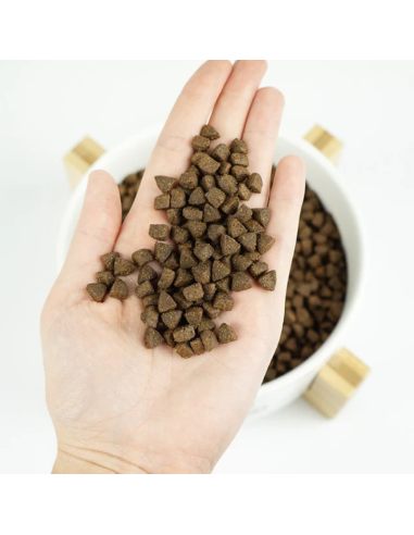 LENDA GATO SENIOR URINARIO Y ESTIRILIZADO GF 2 KG