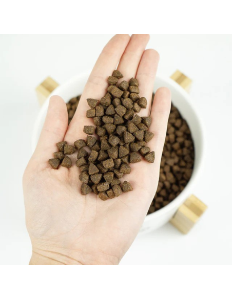 LENDA GATO SENIOR URINARIO Y ESTIRILIZADO GF 2 KG