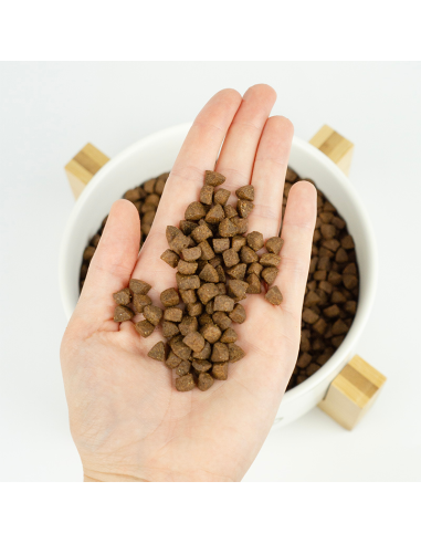 LENDA GATO ADULTO SABOR AVES DE GRANJA GF 2 KG