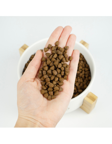 LENDA GATO LIGHT Y ESTERILIZADO GF 2 KG