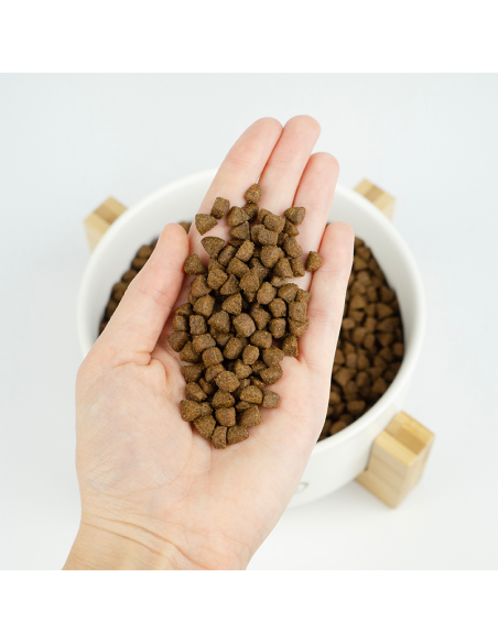 LENDA GATO LIGHT Y ESTERILIZADO GF 2 KG
